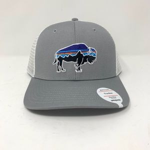 Patagonia Fitz Roy Bison Mid Crown Trucker Hat